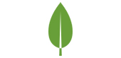mongodb